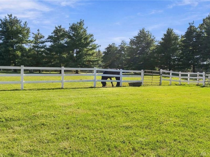 1204 Red Roan Drive, Miamitwpclermont, OH 45140 Photo 77