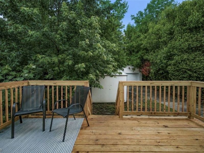 3916 Mapledale Avenue, Cleveland, OH 44109 Photo 4