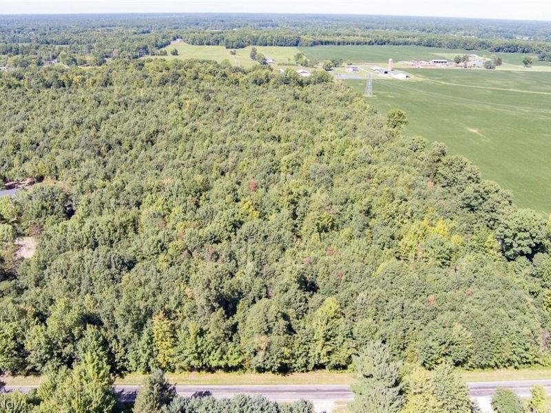 Dunham Road , Unit Lot 1, Litchfield, OH 44253 Photo 10