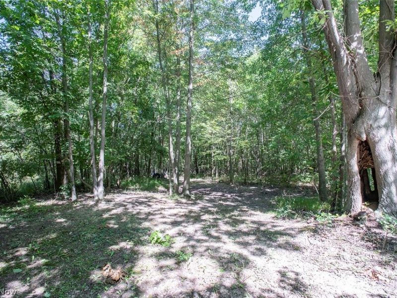 Dunham Road , Unit Lot 1, Litchfield, OH 44253 Photo 11
