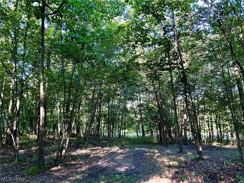 Dunham Road, Unit Lot 1, Litchfield, OH 44253 Photo 13