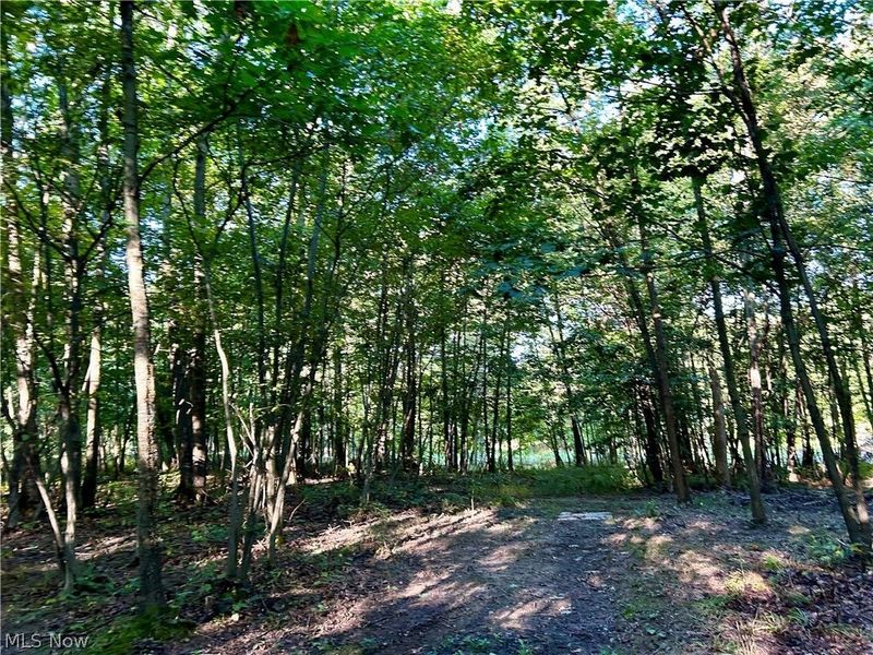 Dunham Road, Unit Lot 1, Litchfield, OH 44253 Photo 14