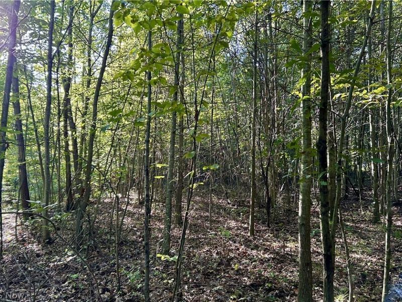 Dunham Road, Unit Lot 1, Litchfield, OH 44253 Photo 15