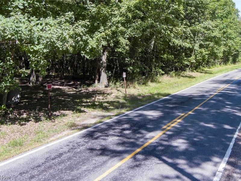 Dunham Road , Unit Lot 1, Litchfield, OH 44253 Photo 3