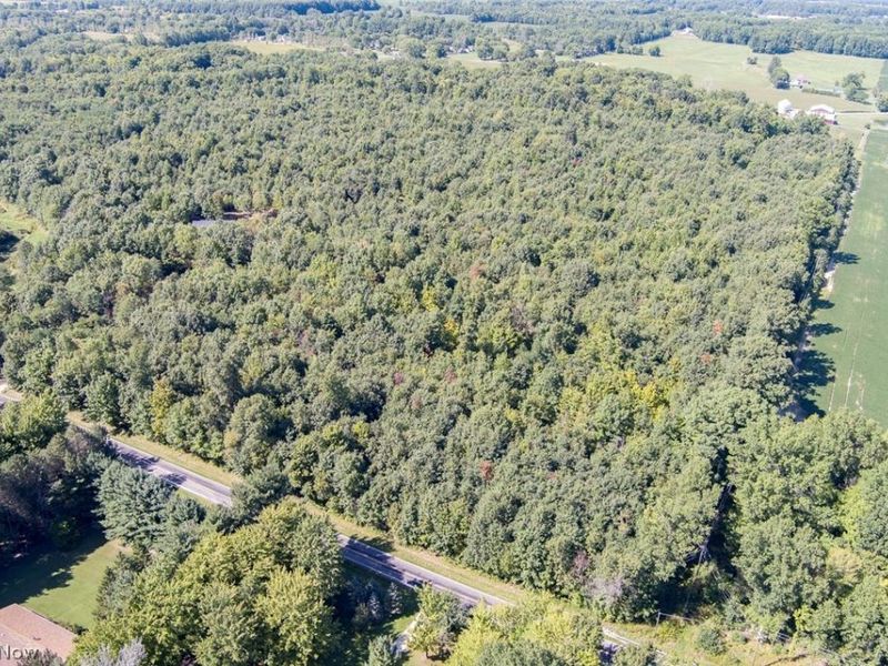 Dunham Road, Unit Lot 1, Litchfield, OH 44253 Photo 4