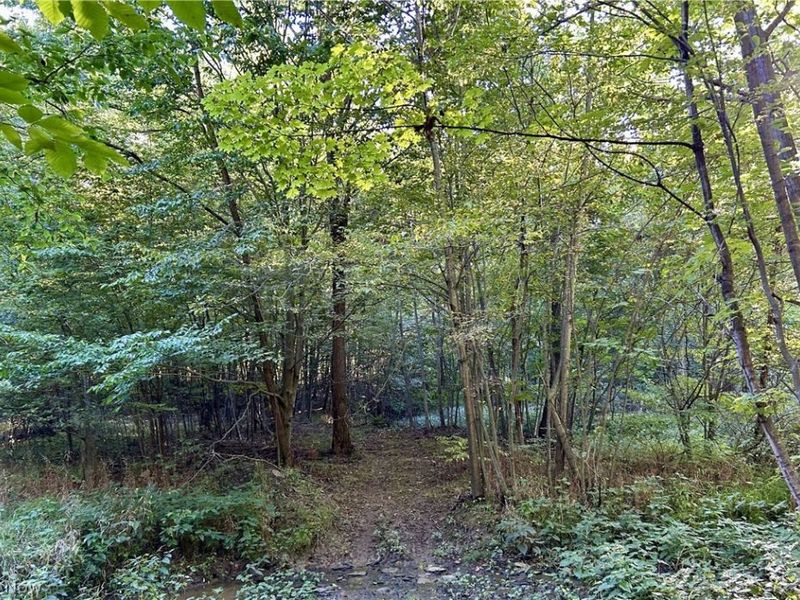 Dunham Road, Unit Lot 2, Litchfield, OH 44253 Photo 11