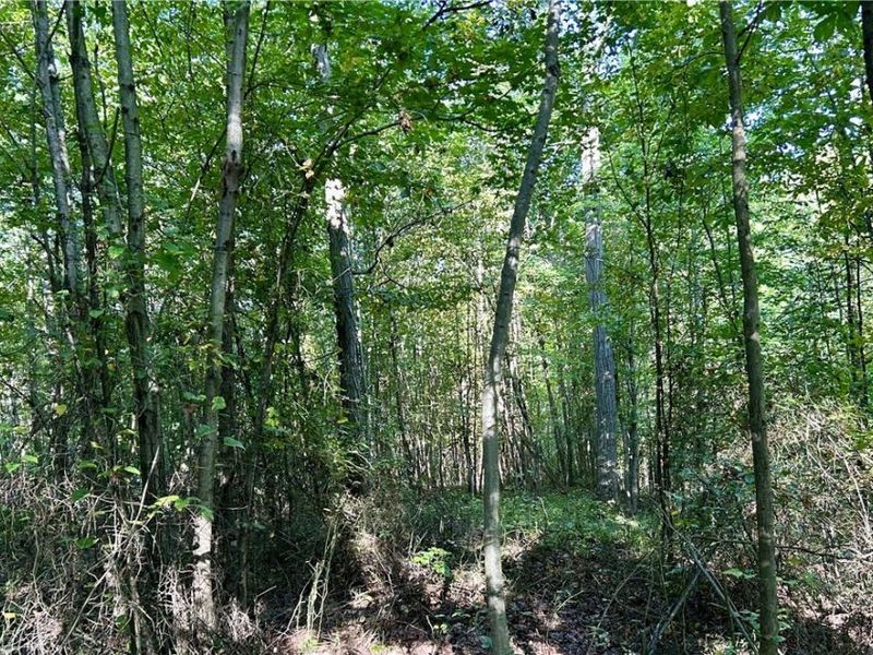 Dunham Road, Unit Lot 2, Litchfield, OH 44253 Photo 12