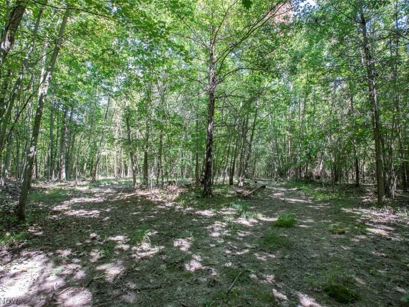 Dunham Road , Unit Lot 2, Litchfield, OH 44253 Photo 5