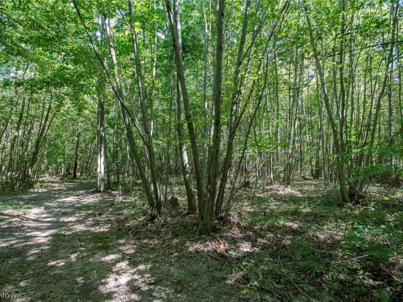 Dunham Road , Unit Lot 2, Litchfield, OH 44253 Photo 7
