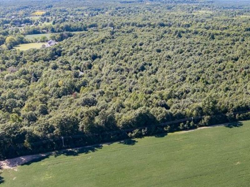 Dunham Road , Unit Lot 2, Litchfield, OH 44253 Photo 8
