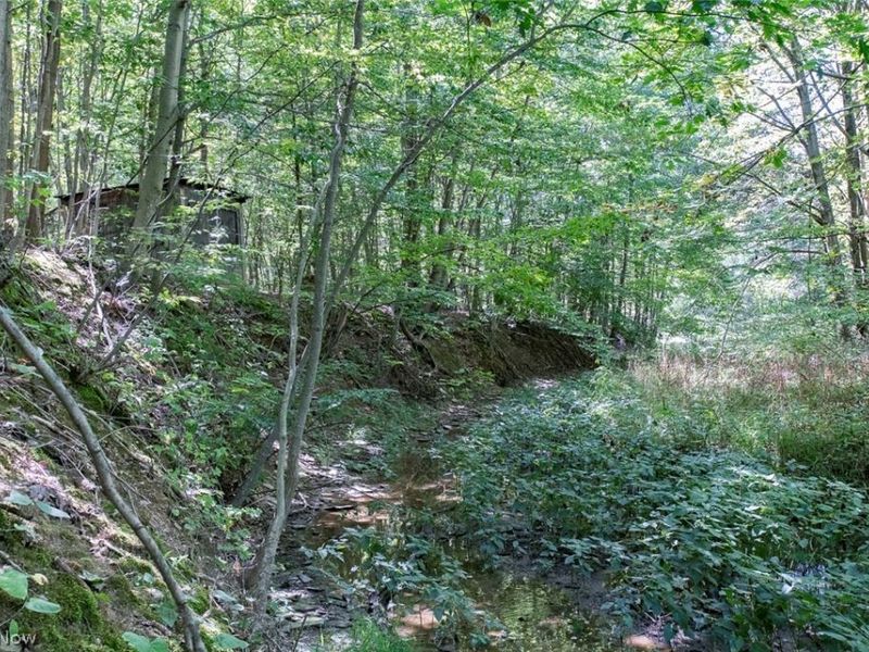 Dunham Road, Unit Lot 3, Litchfield, OH 44253 Photo 10
