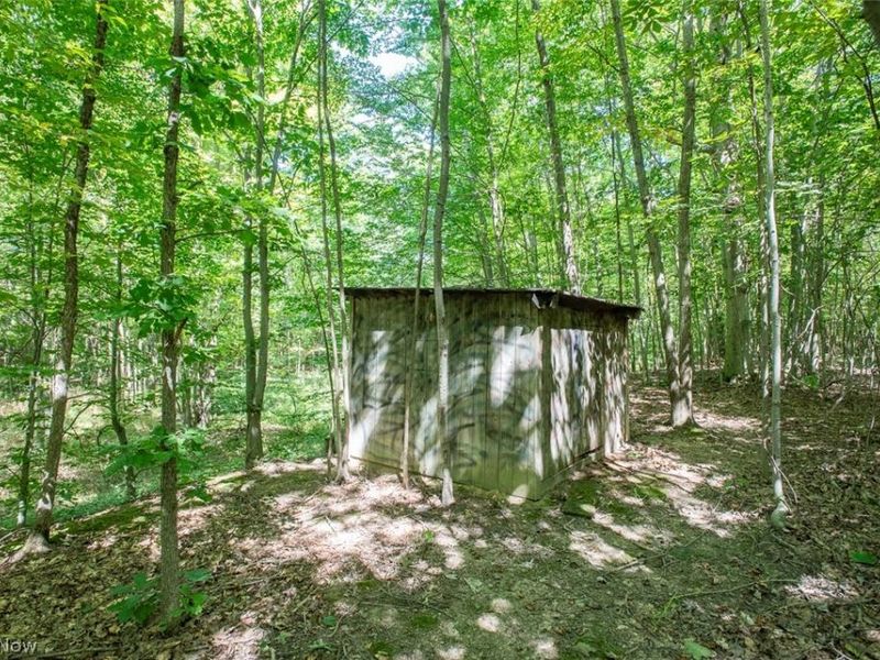 Dunham Road, Unit Lot 3, Litchfield, OH 44253 Photo 7