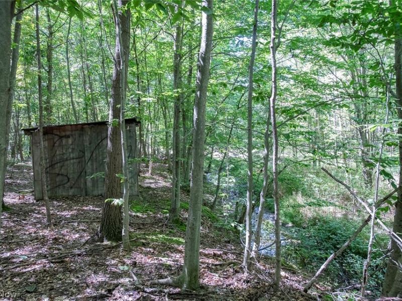 Dunham Road, Unit Lot 3, Litchfield, OH 44253 Photo 9