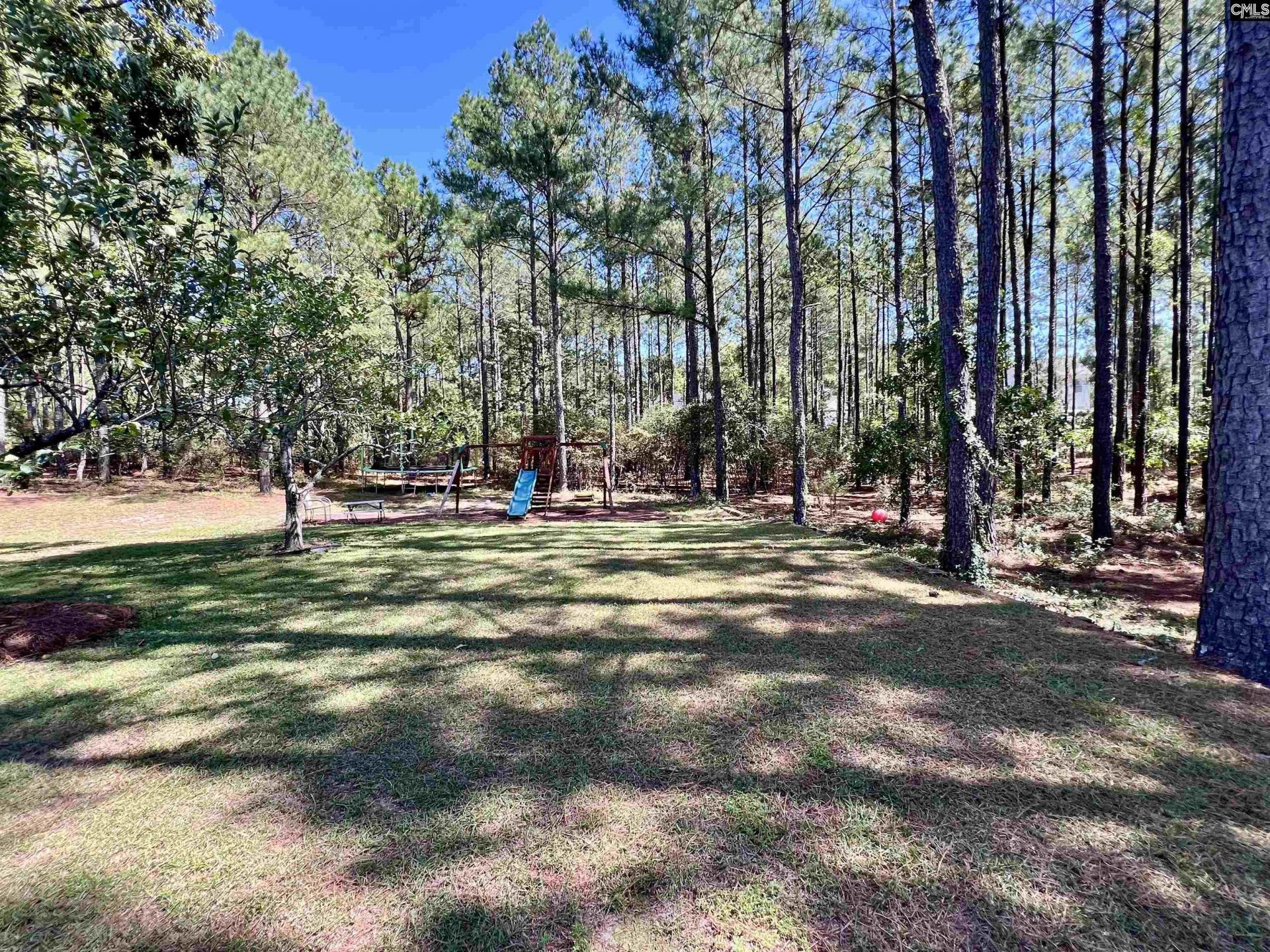 275 Siddington Way Photo 42