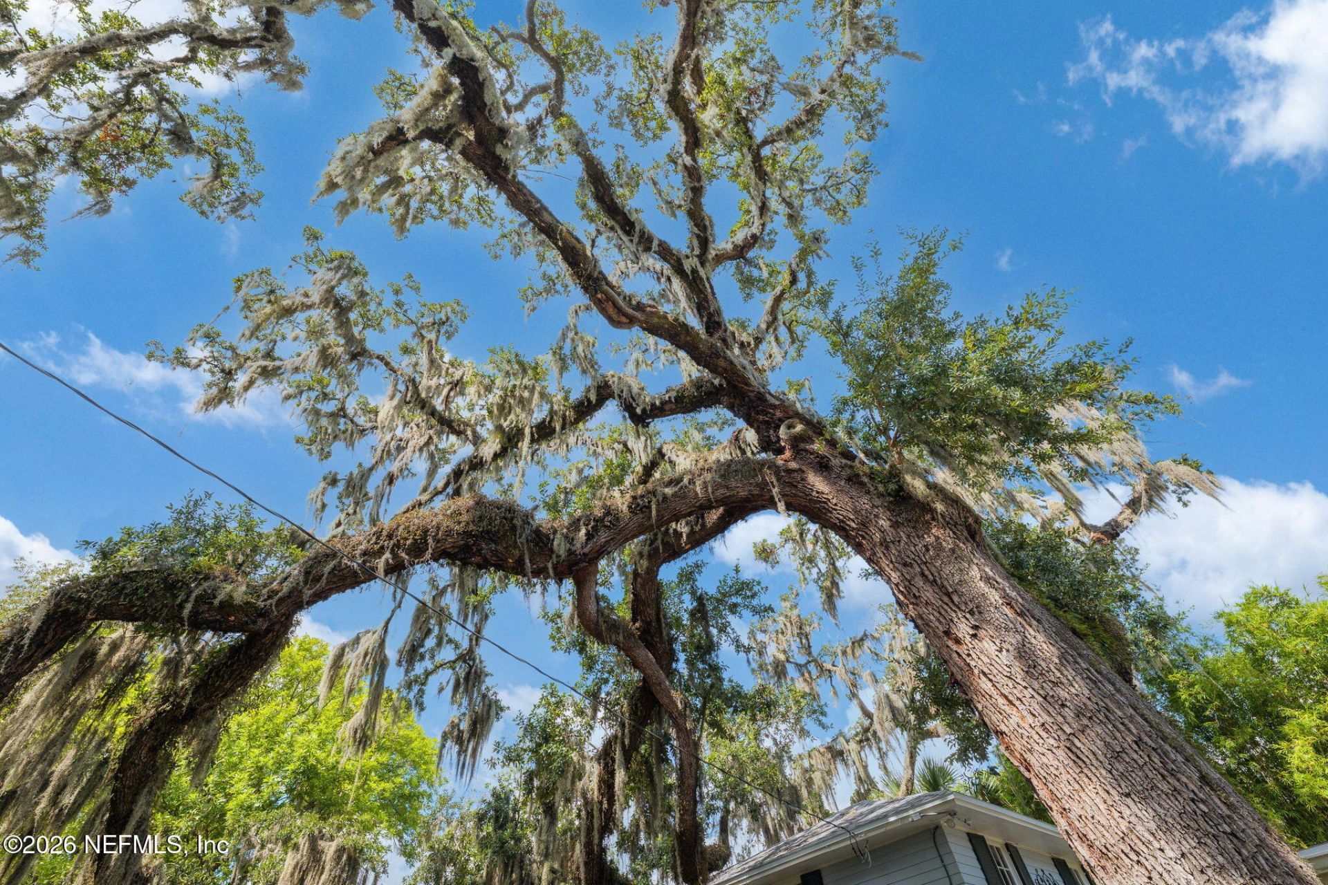 1740 Edgewood Avenue S, Jacksonville, FL 32205 Photo