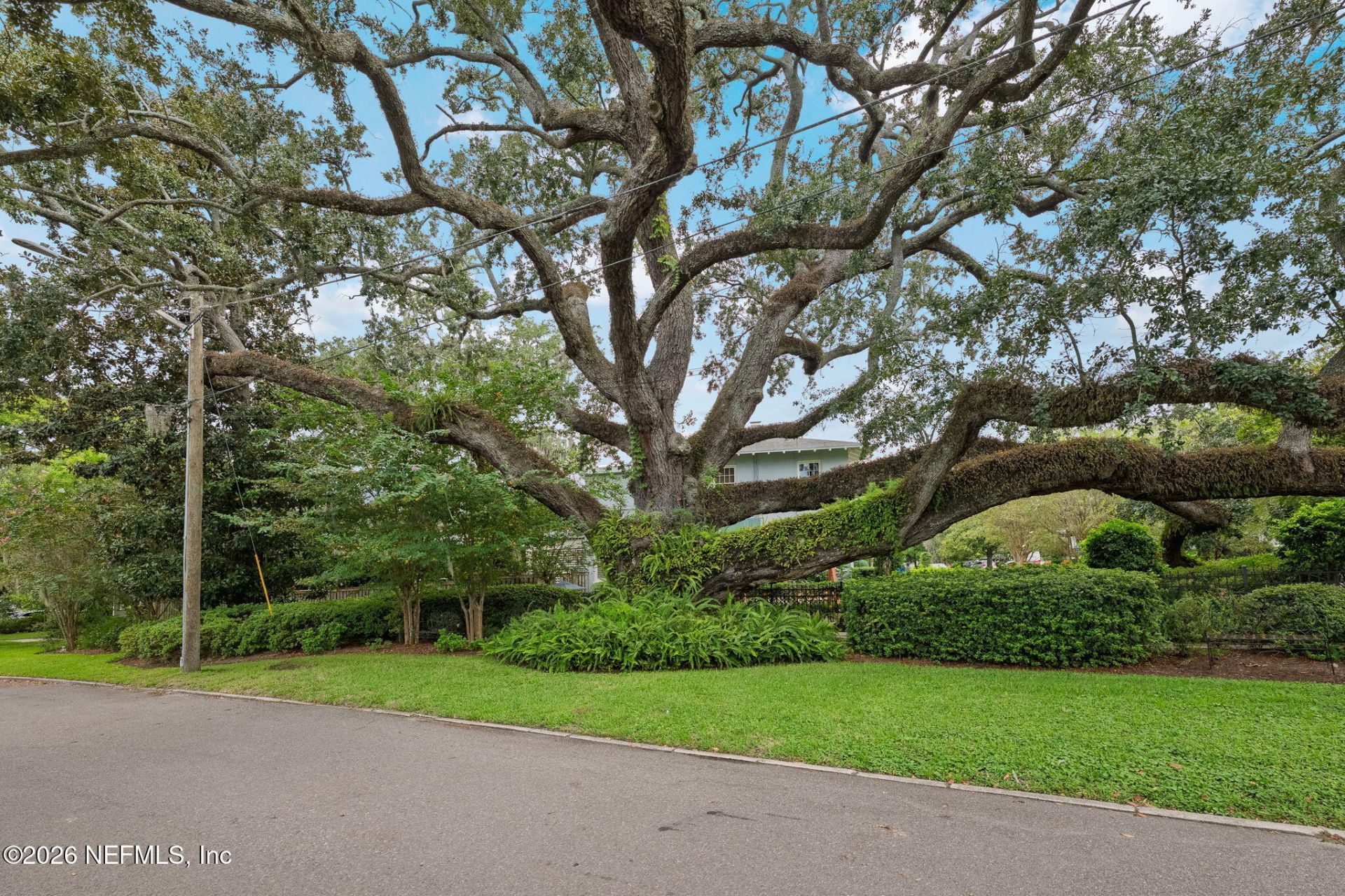 1740 Edgewood Avenue S, Jacksonville, FL 32205 Photo