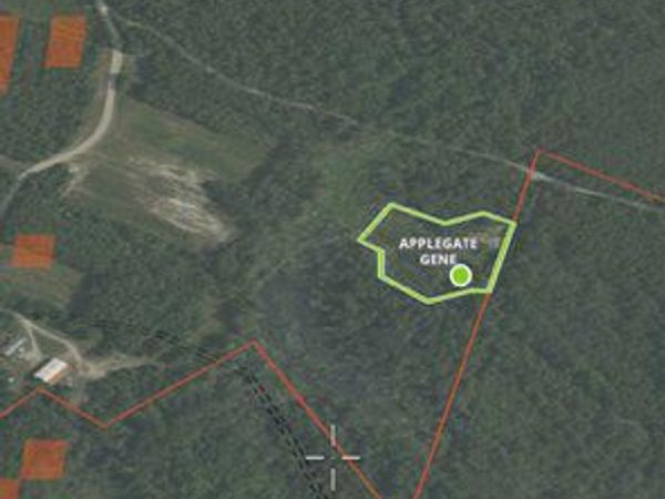 0 MAGNOLIA ROAD, PEMBERTON, NJ 08068