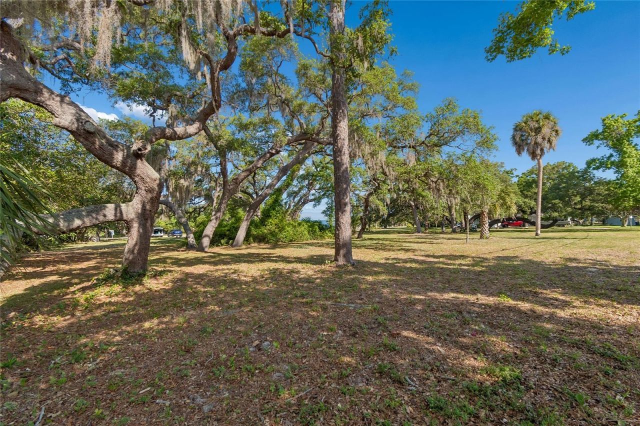 316 Indiana Avenue, Crystal Beach, FL 34681 Photo