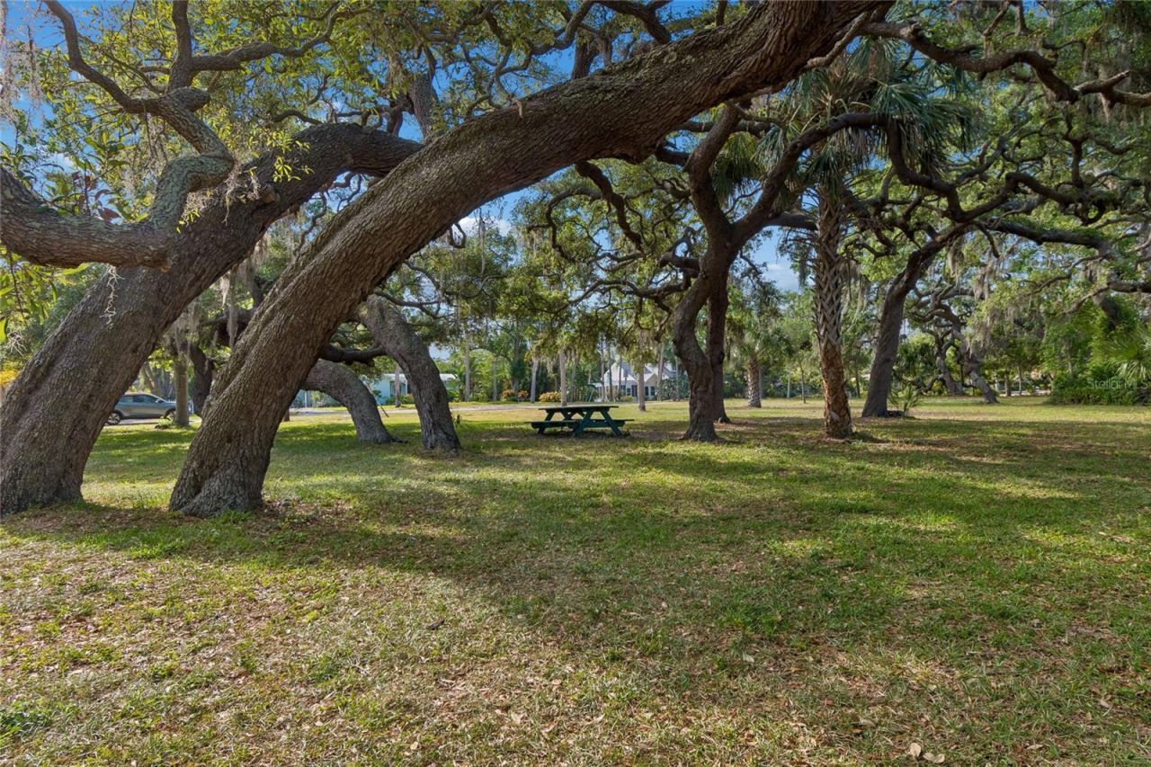 316 Indiana Avenue, Crystal Beach, FL 34681 Photo