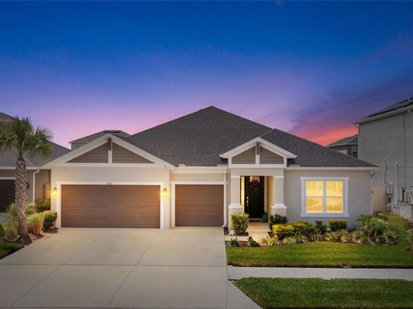 2405 HIGH TIDES WAY , WESLEY CHAPEL, FL 33543