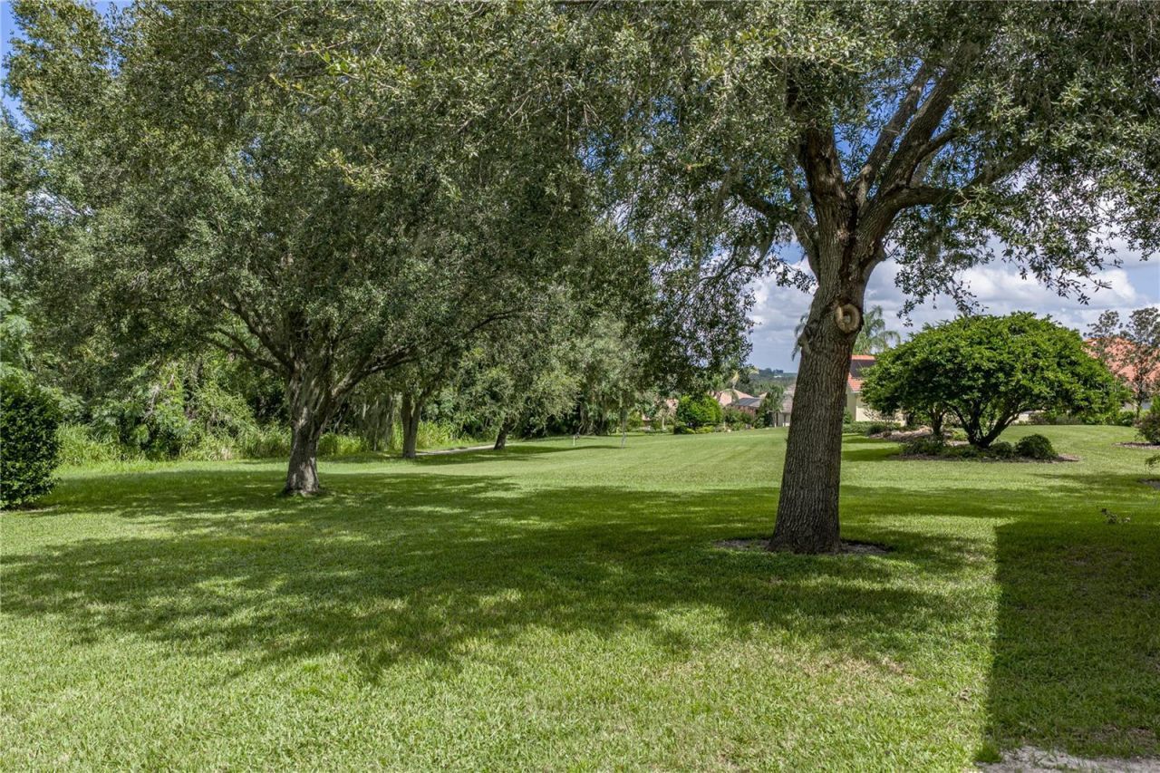 13353 Carnoustie Circle, Dade City, FL 33525 Photo
