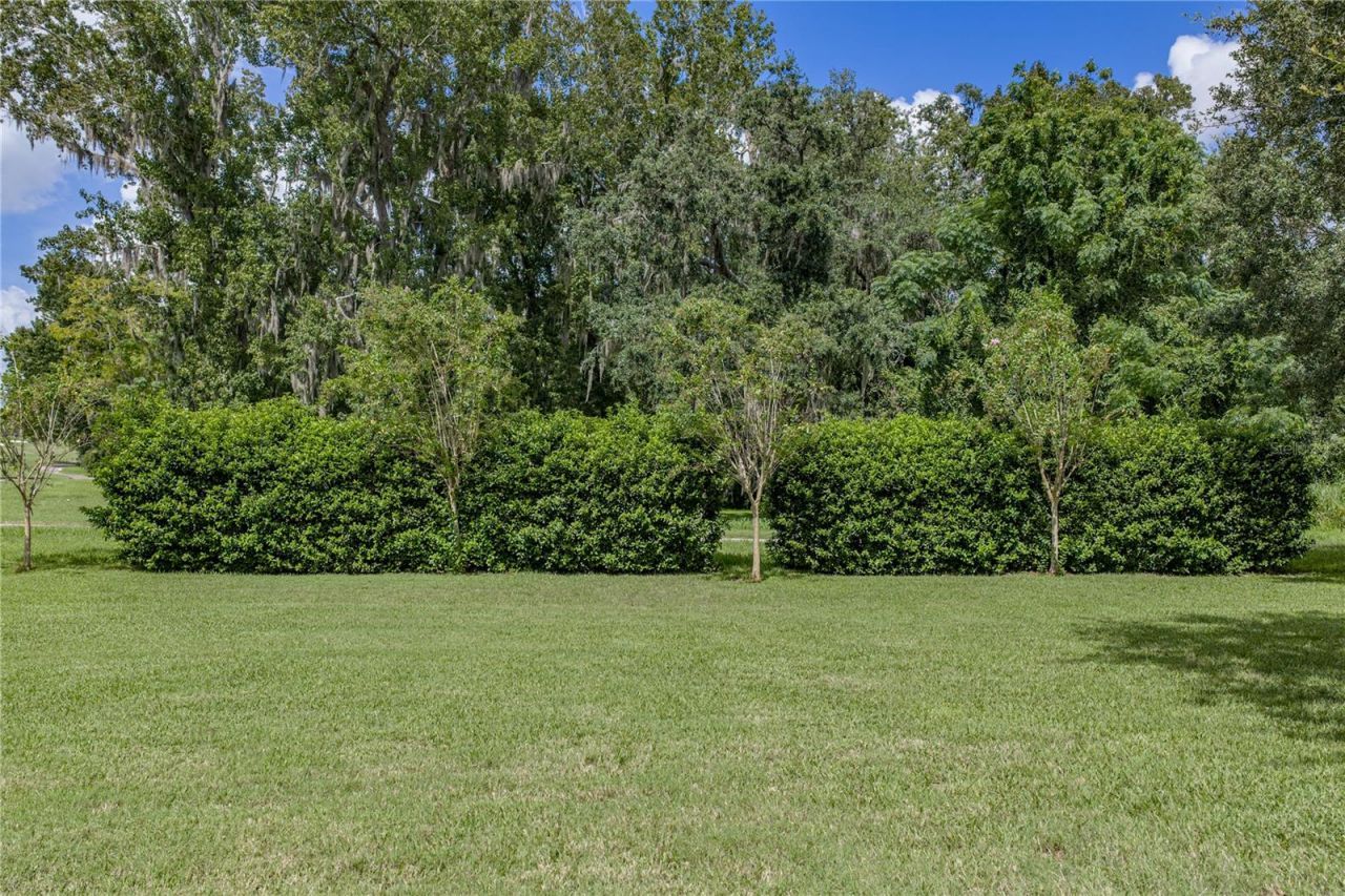 13353 Carnoustie Circle, Dade City, FL 33525 Photo