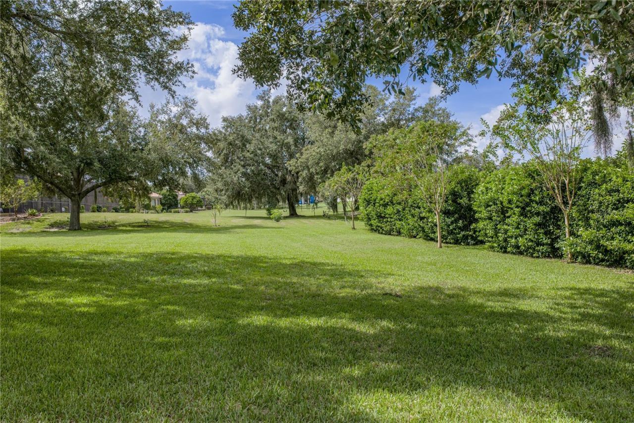 13353 Carnoustie Circle, Dade City, FL 33525 Photo