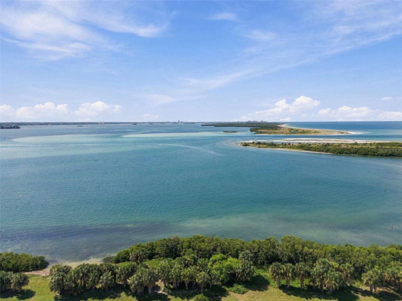 9 Forbes Place, Unit 412, Dunedin, FL 34698 Photo