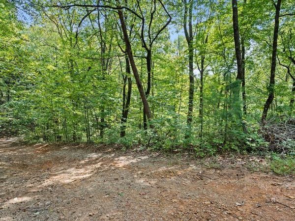 23 B Double Knob, Cherry Log, GA 30522