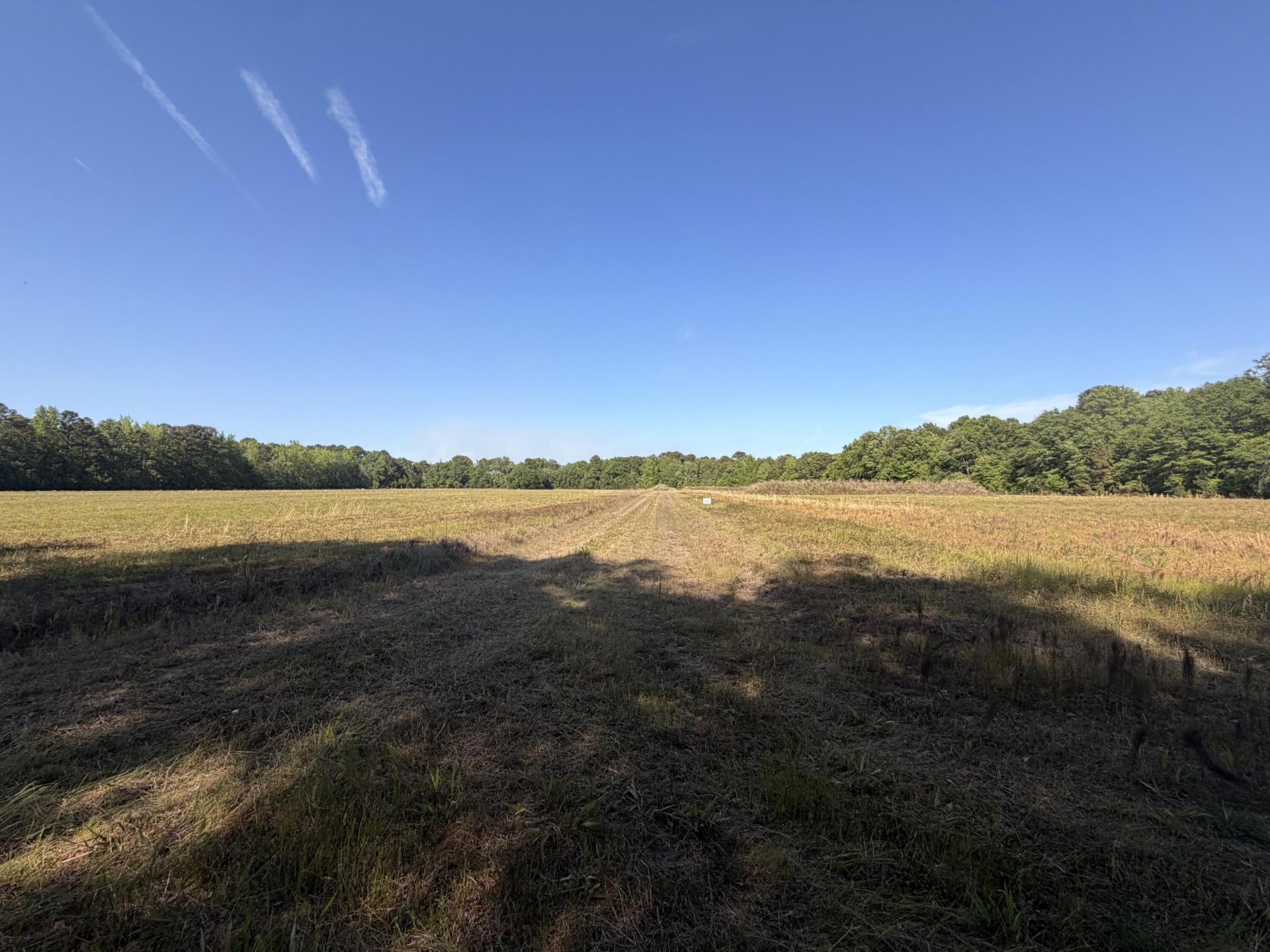 00000 Cottage Lane Photo 8