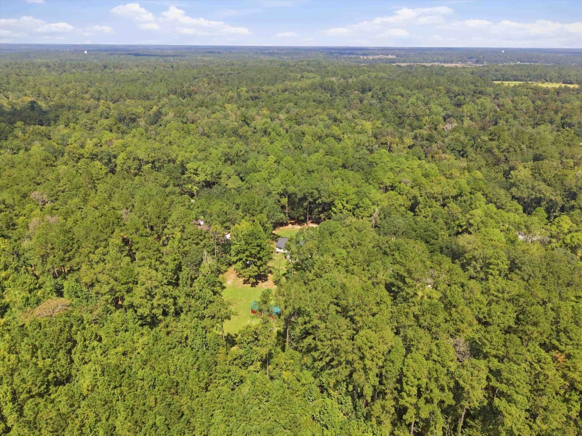 747 Timber Run, Havana, FL 32333 Photo