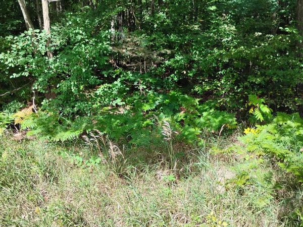 55 Knapp Road, Houghton Lake, MI 48629