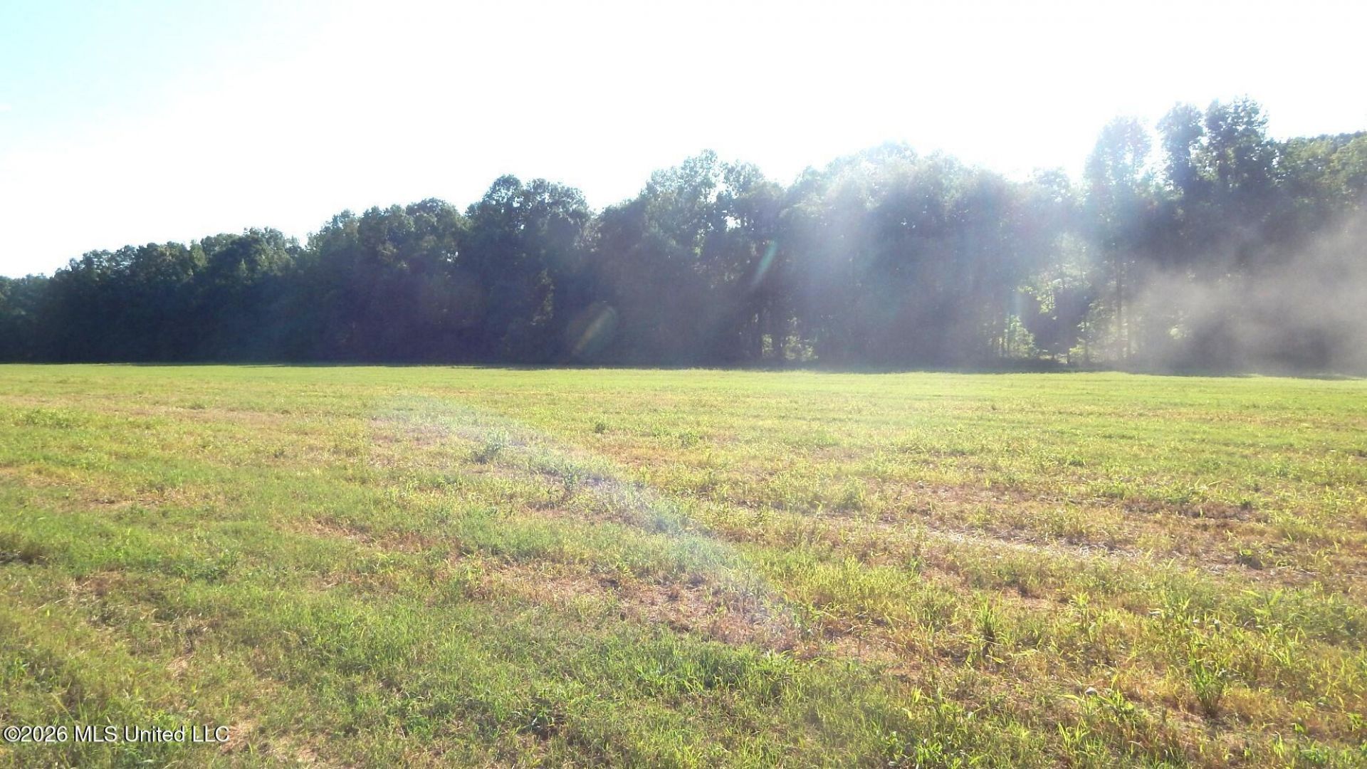 545 County Road 247 , Bruce, MS 38915 Main Photo