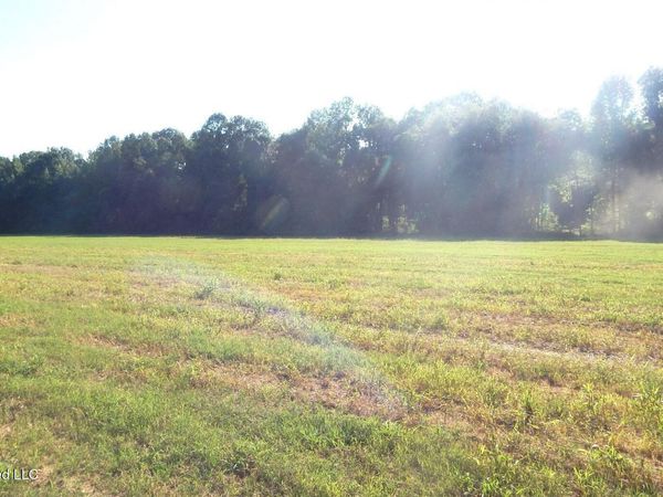 545 County Road 247 , Bruce, MS 38915