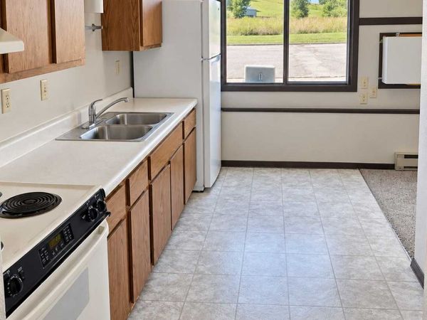 700 3rd Street , Unit #4, Barrett, MN 56311