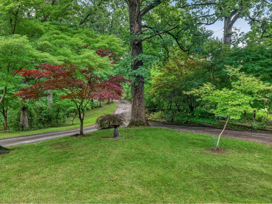 Property Image 56