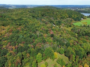 Lot 21 Buddle Road , Richfield Springs, NY 13439