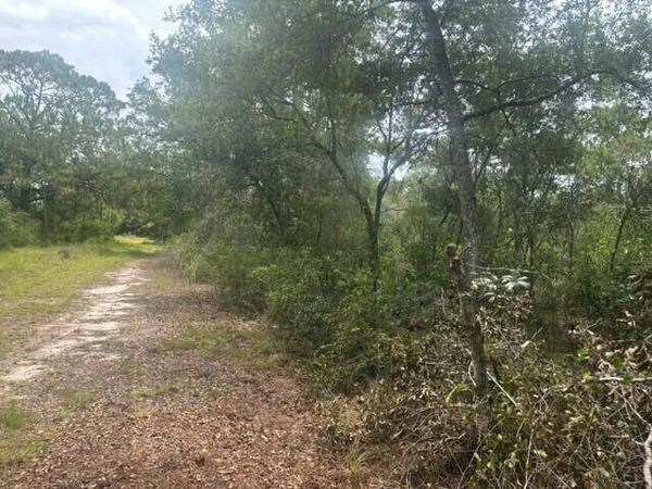 2225 W WELLS Road, Avon Park, FL 33825