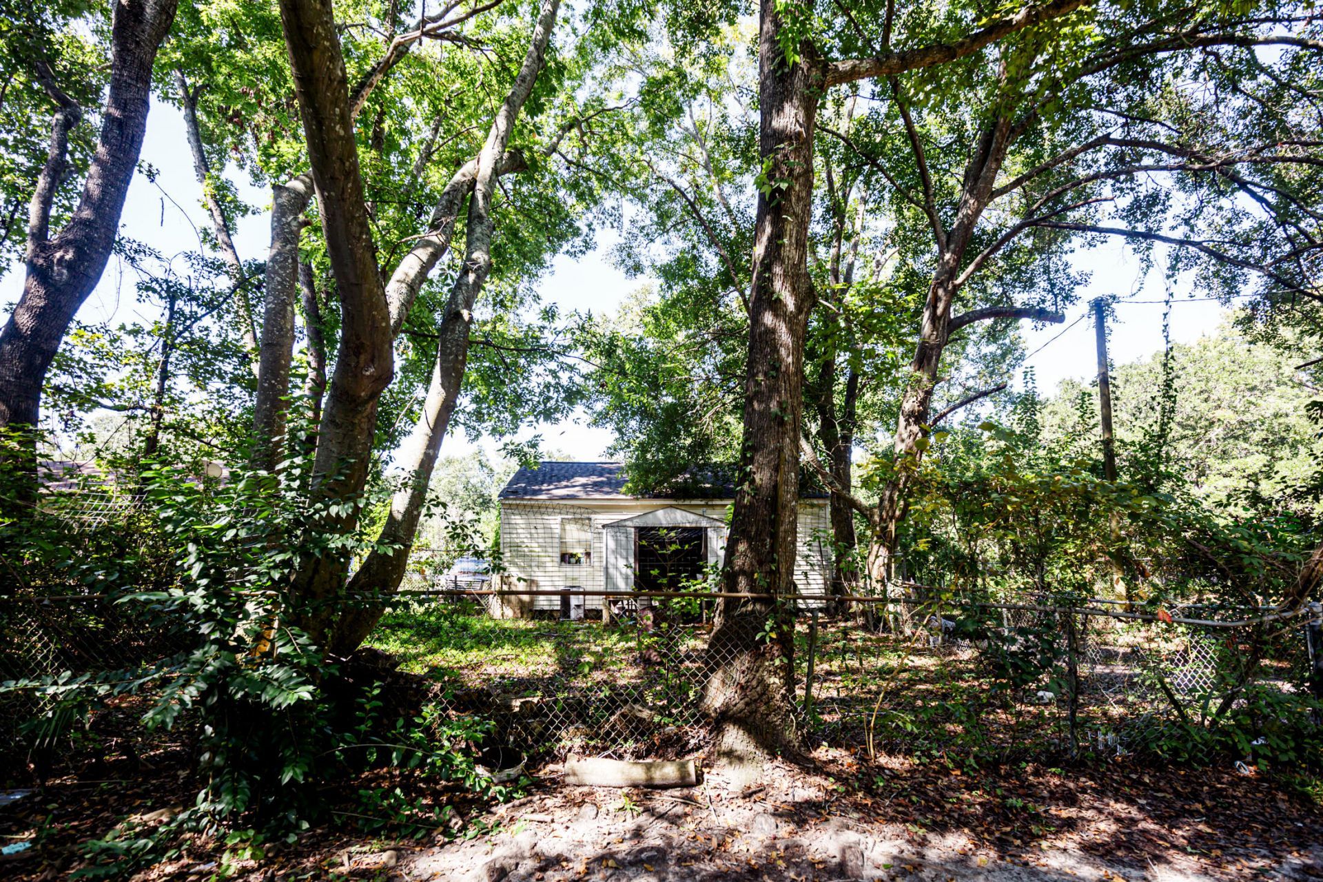 722 Sequoia Street Photo 34