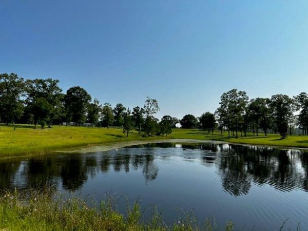 11700 Earl Booth Road , Citronelle, AL 36522