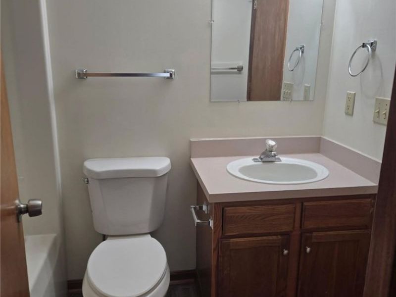 235 Pleasant Street, Lagrange, OH 44050 Photo 9