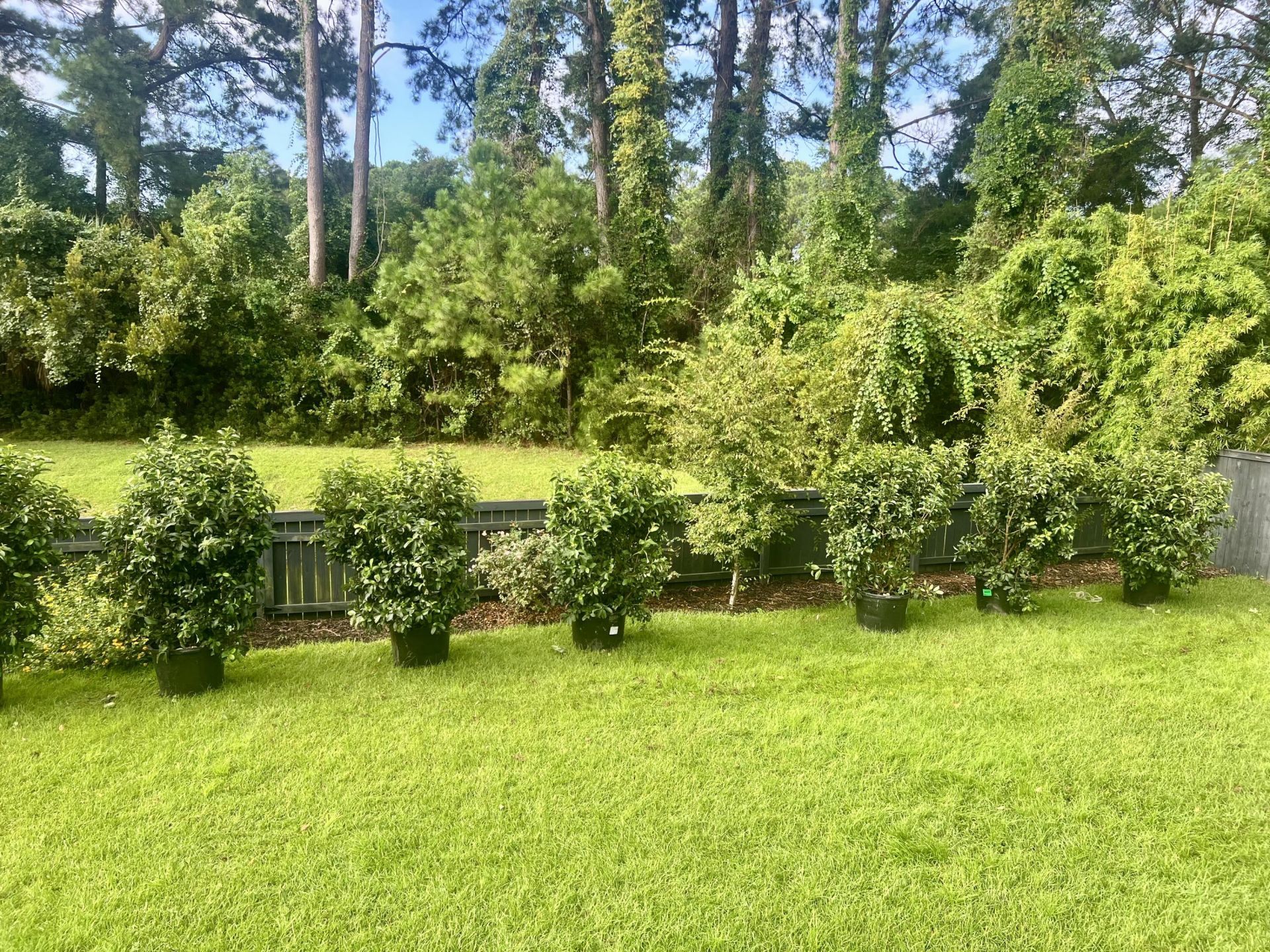 208 Red Knot Lane Photo 26