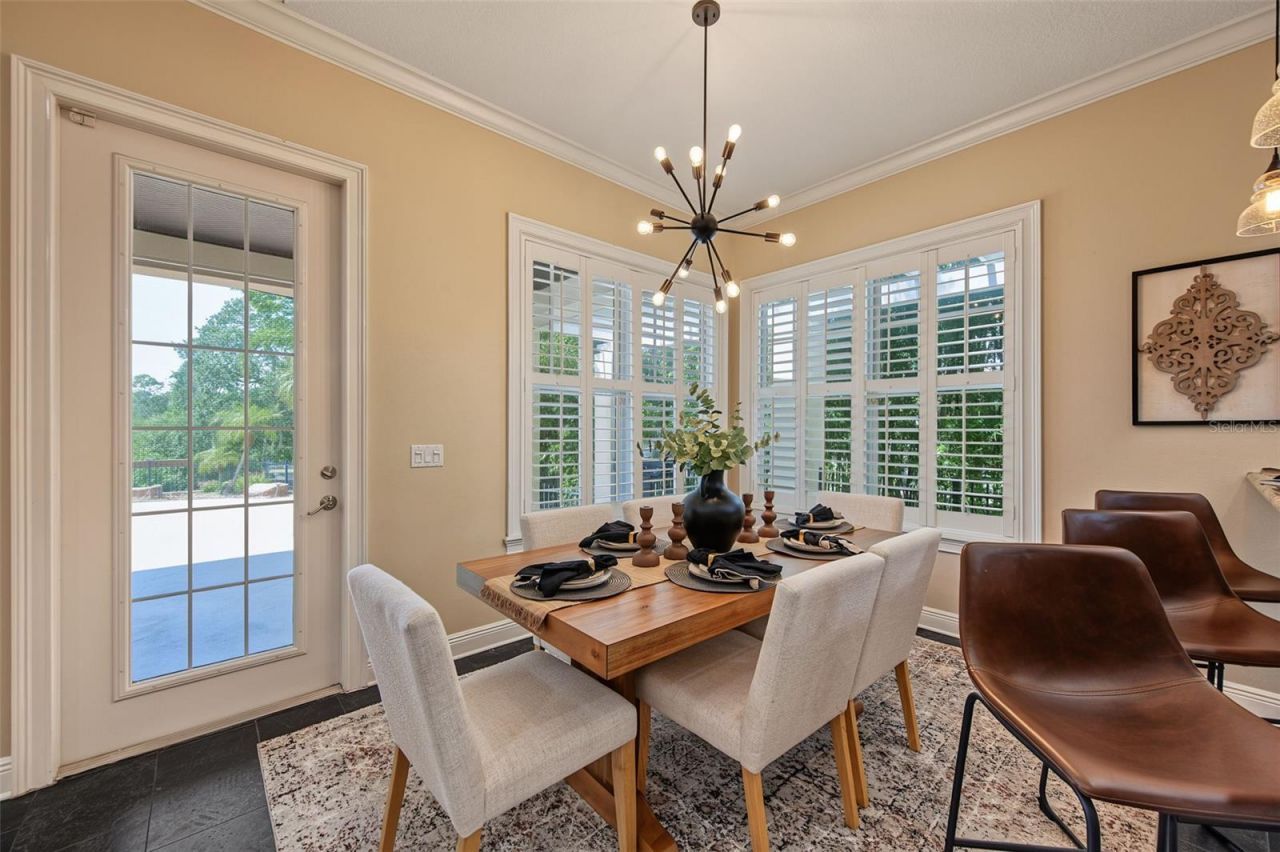 3143 Pineview Drive, Holiday, FL 34691 Photo