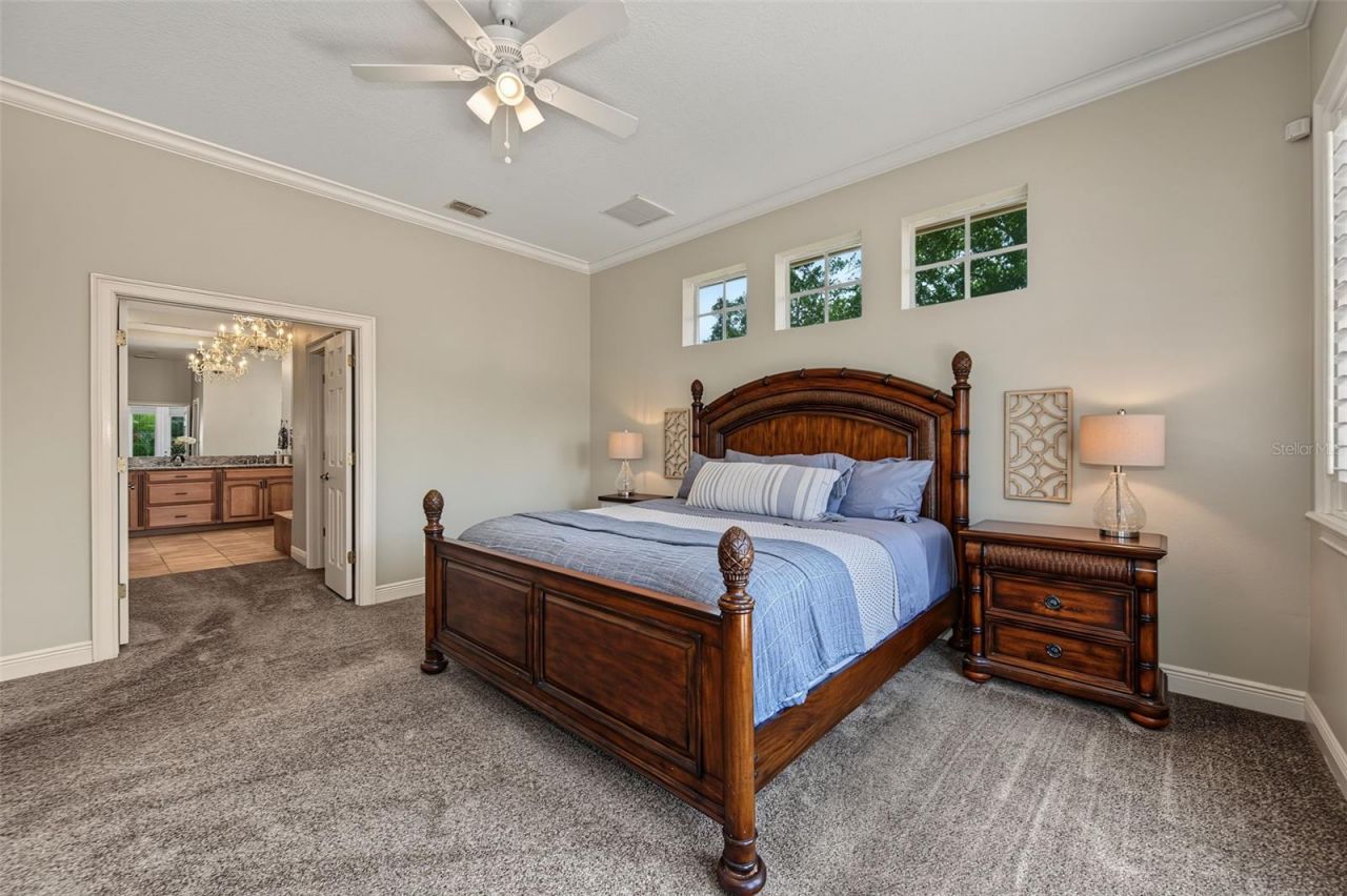 3143 Pineview Drive, Holiday, FL 34691 Photo