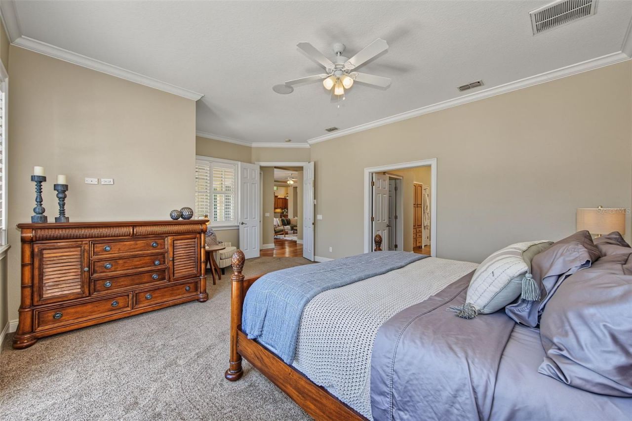 3143 Pineview Drive, Holiday, FL 34691 Photo