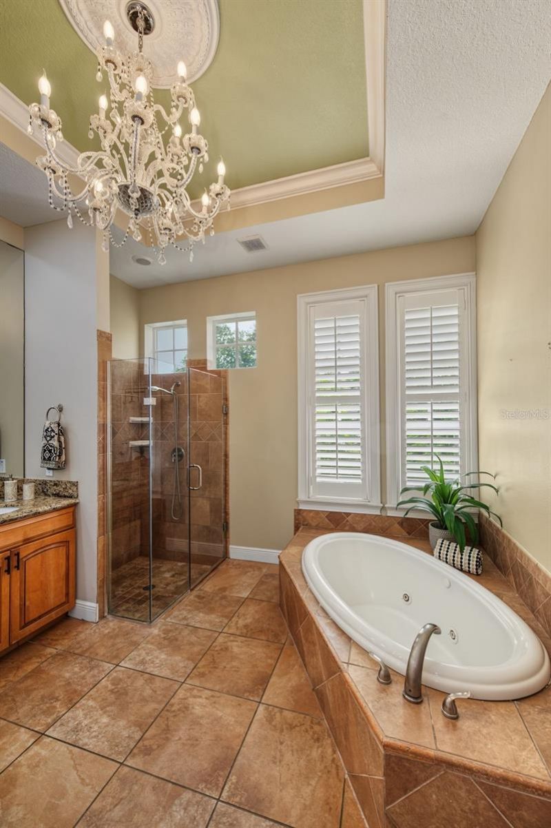 3143 Pineview Drive, Holiday, FL 34691 Photo