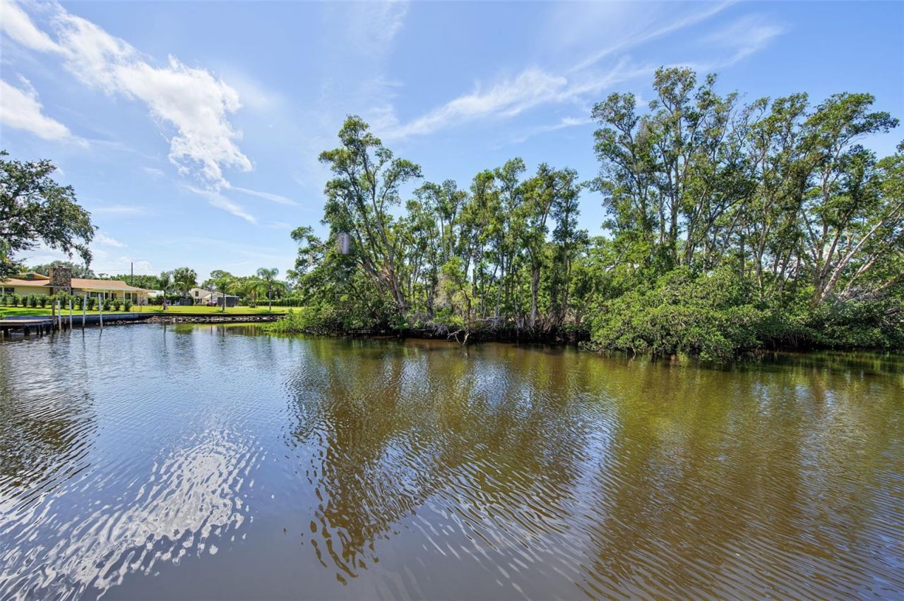 3143 Pineview Drive, Holiday, FL 34691 Photo
