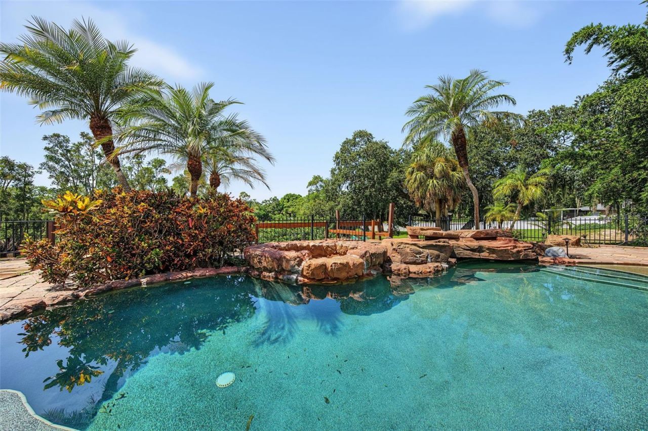 3143 Pineview Drive, Holiday, FL 34691 Photo
