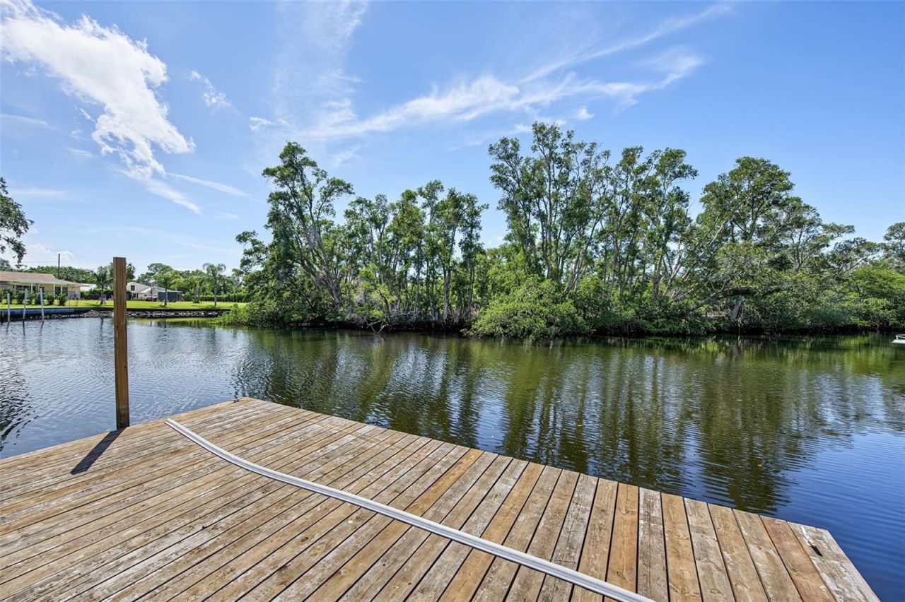 3143 Pineview Drive, Holiday, FL 34691 Photo