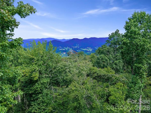 000 Winterberry Road , Burnsville, NC 28714